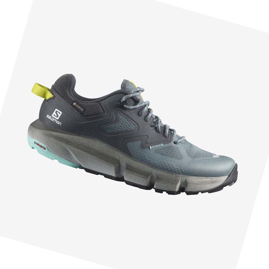 Tenis Senderismo Salomon WoPREDICT HIKE GORE-TEX Mujer Plateados | MX 2789DFM